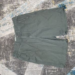 American Eagle Longboard Shorts Green Size 34